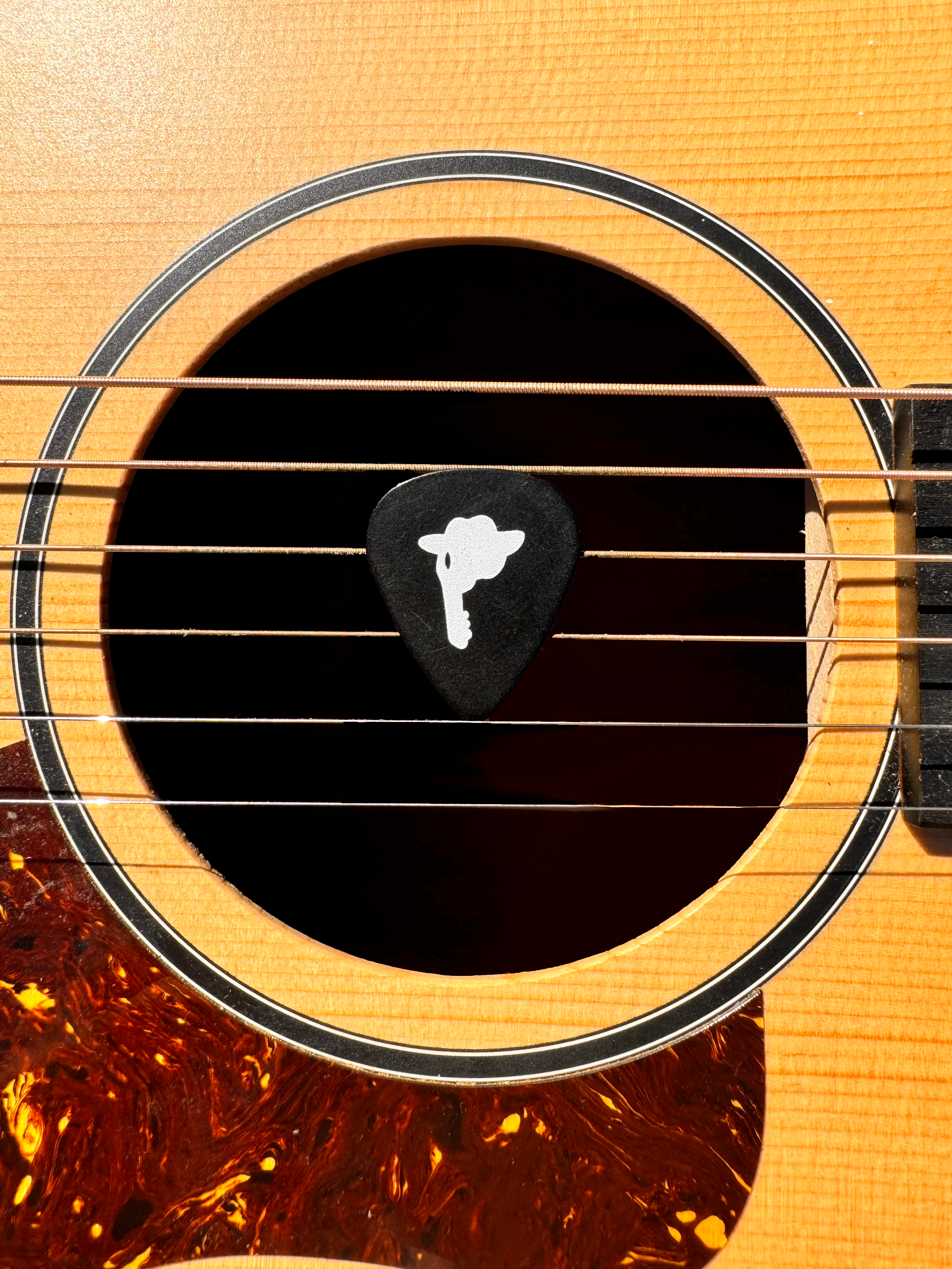Dorti Guitar Pick