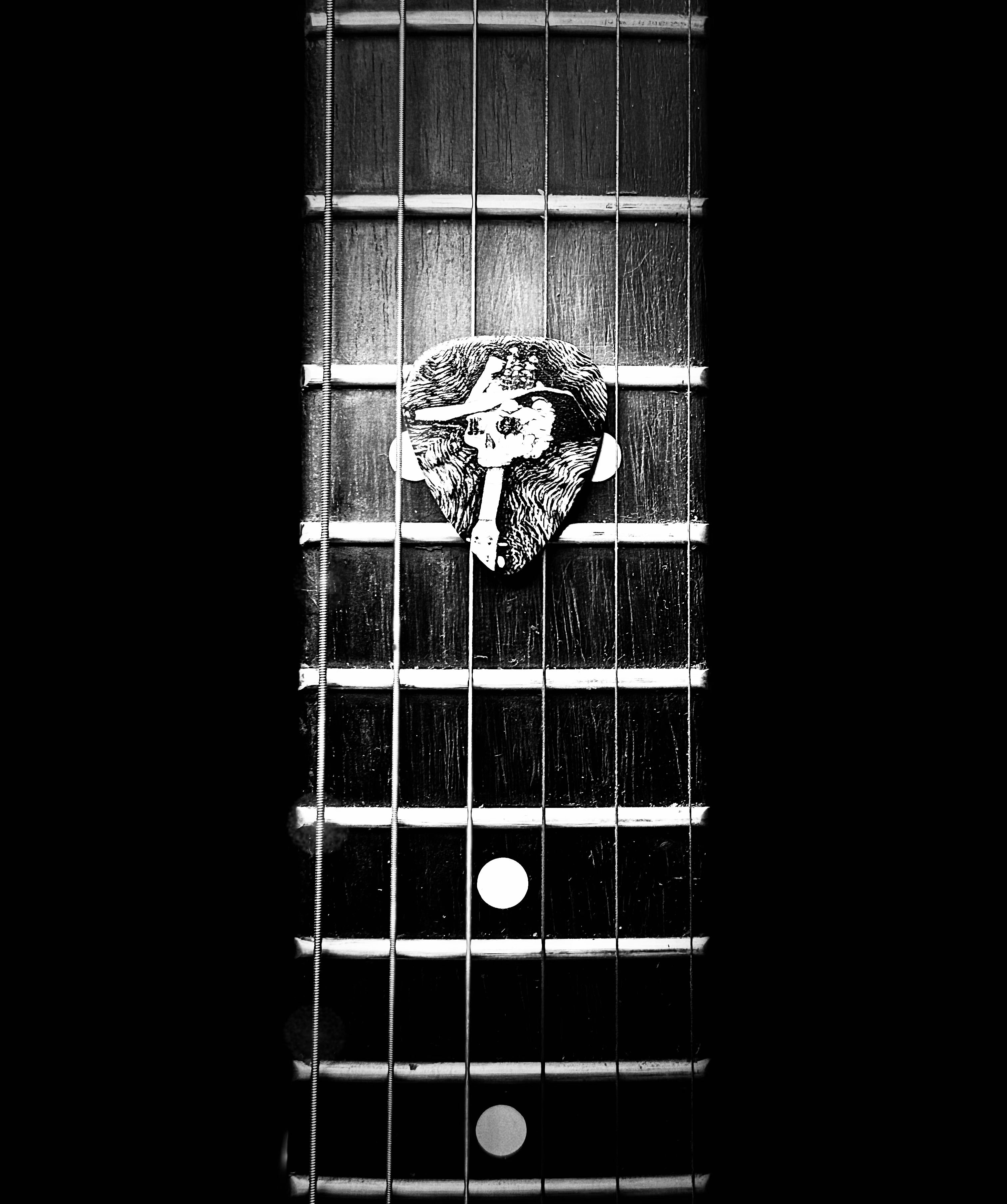 Dorti Performance Guitar Pick