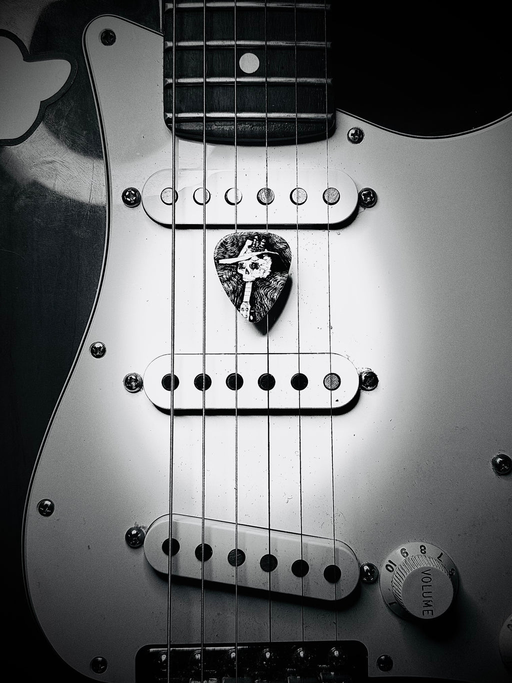 Dorti Performance Guitar Pick