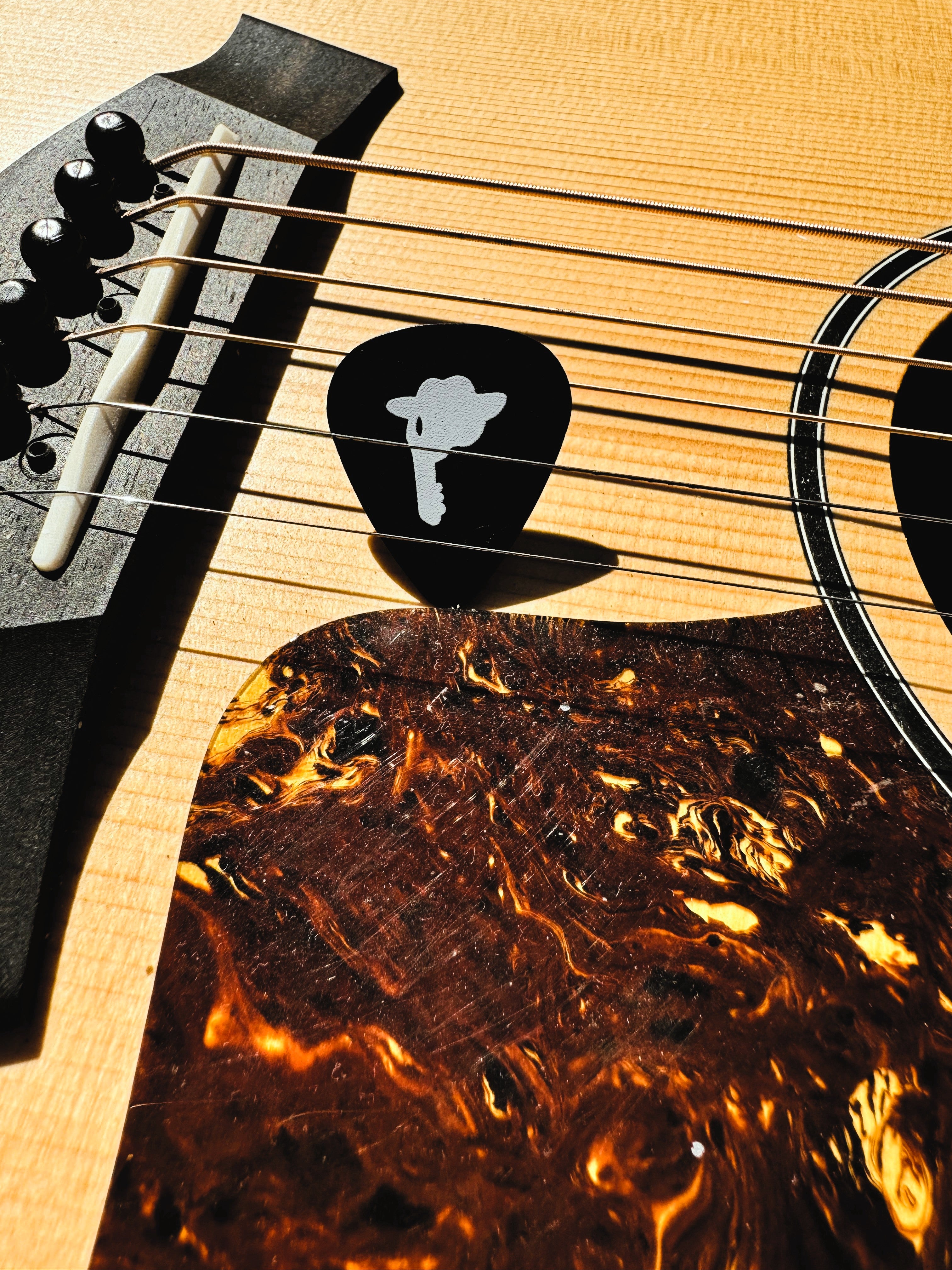 Dorti Guitar Pick