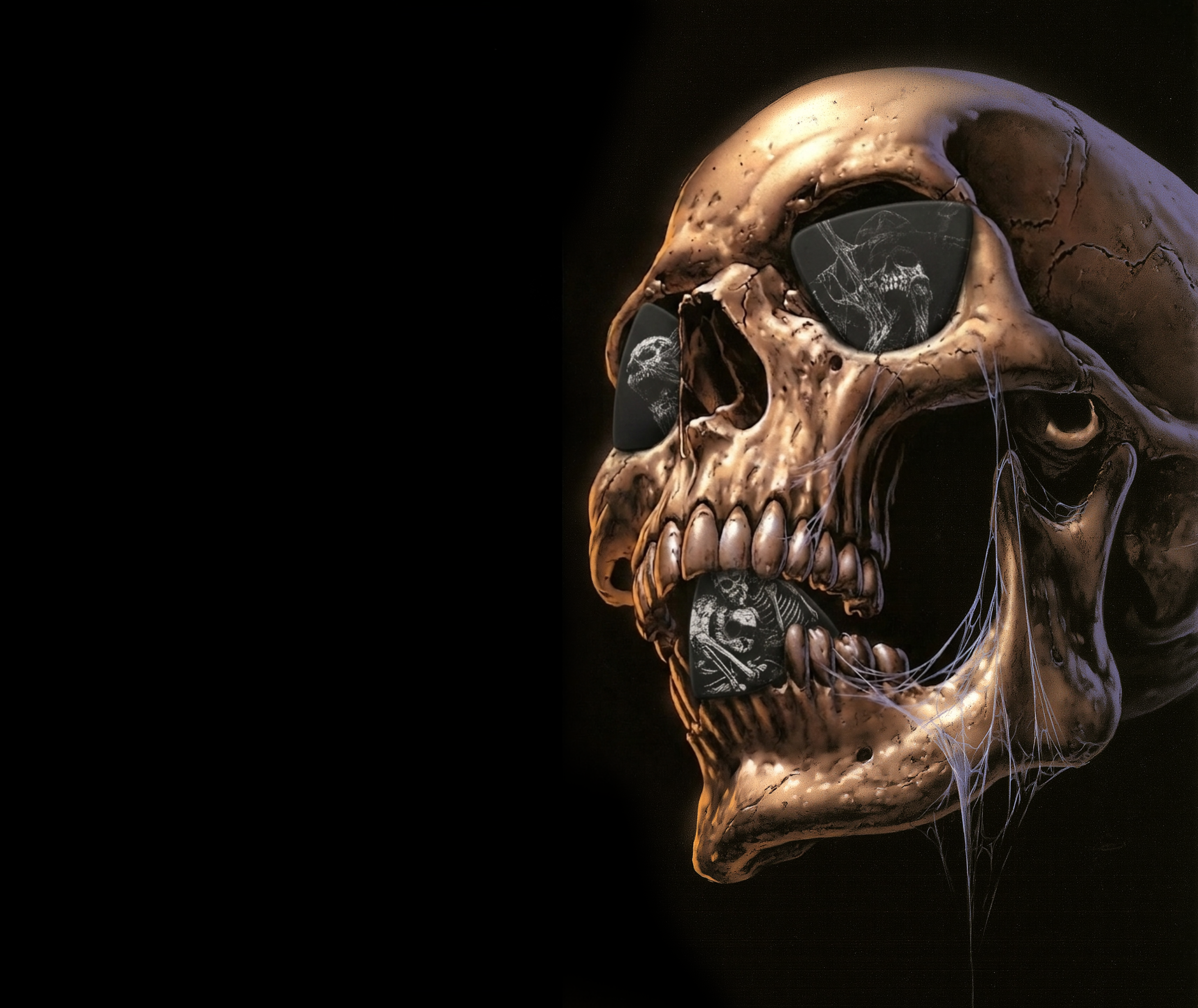 Boneyard Collection